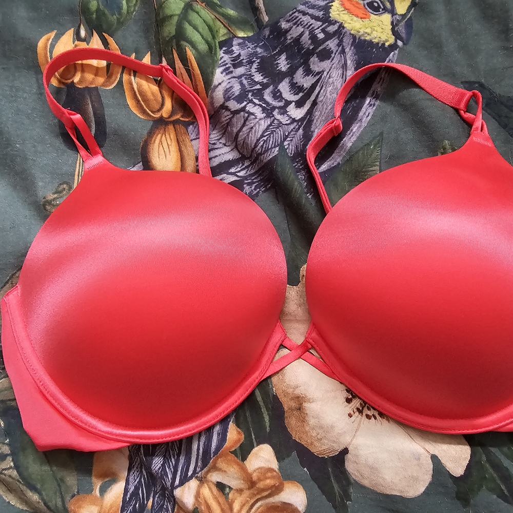 Red Satin Women's Bra